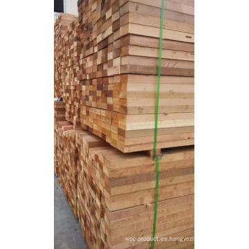 Primera mano Ad Dry Red Cedar Wood Timber